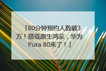 80分钟预约人数破3万！搭载原生鸿蒙，华为Pura 80来了！
