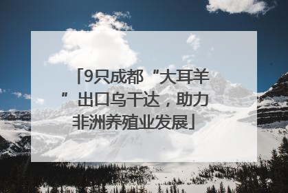 9只成都“大耳羊”出口乌干达，助力非洲养殖业发展