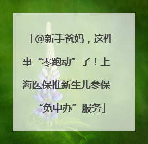 @新手爸妈，这件事“零跑动”了！上海医保推新生儿参保“免申办”服务