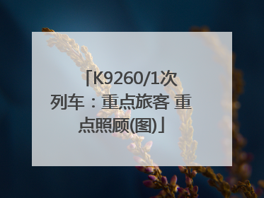 K9260/1次列车：重点旅客 重点照顾(图)